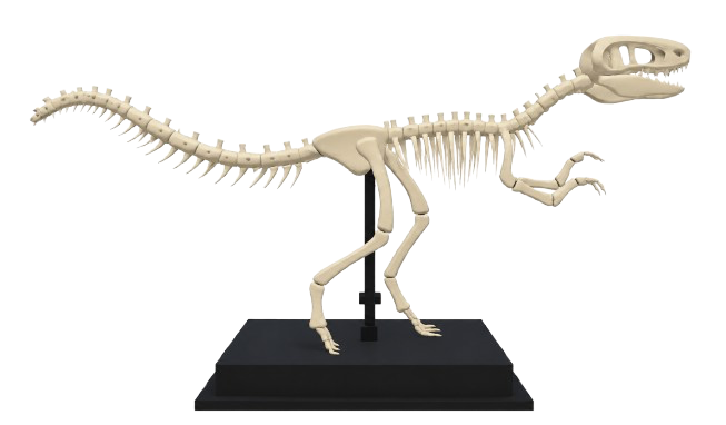 Dinosaur Fossil — Run a Restaurant item